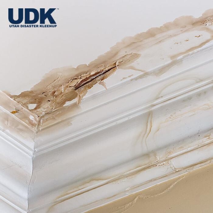 Images Utah Disaster Kleenup