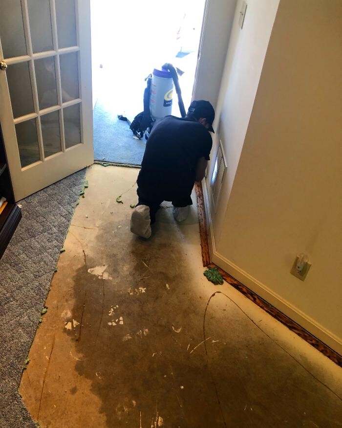 Images Semper Dry Water Removal