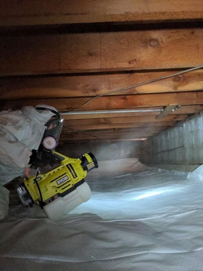 Images Master Restoration