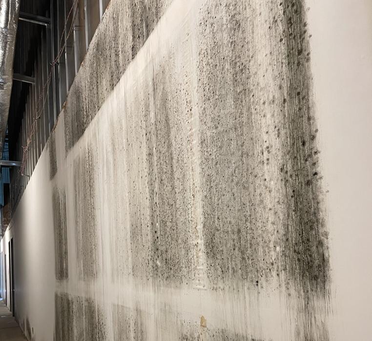 Images Master Restoration