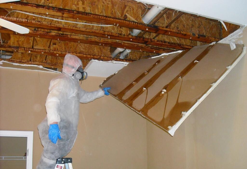 Images Archer Restoration Services
