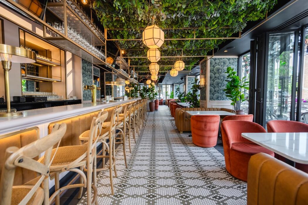 Images Americano, Lincoln Park