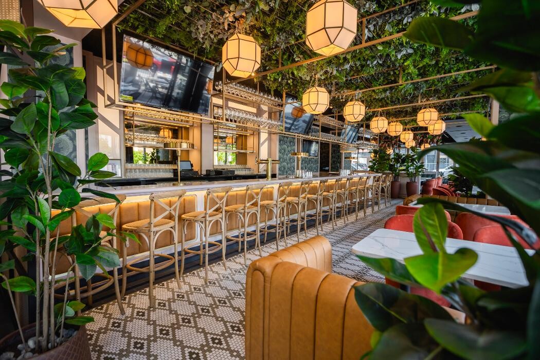 Images Americano, Lincoln Park