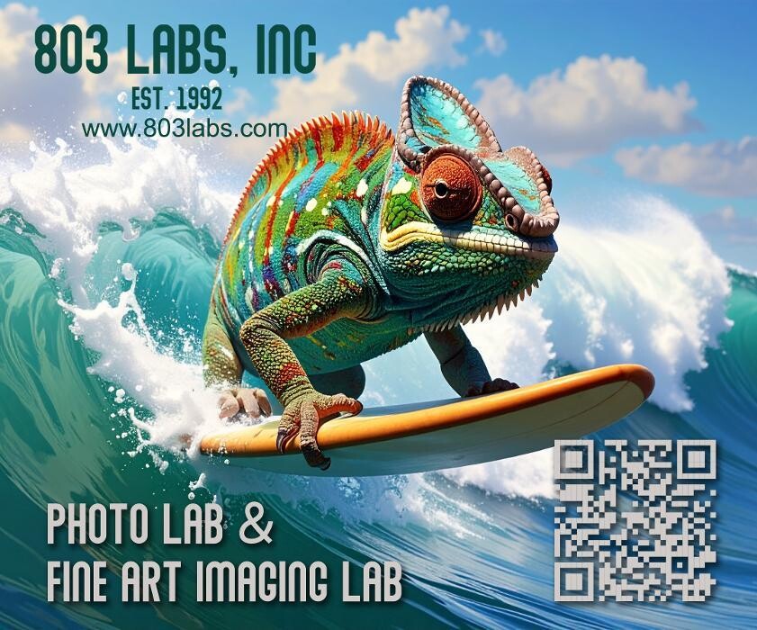 Images 803 Labs, Inc.