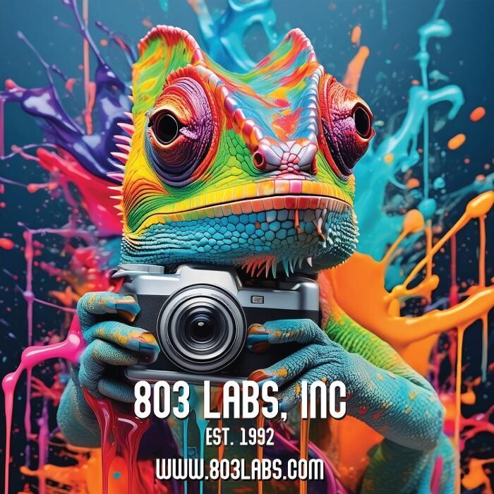 Images 803 Labs, Inc.