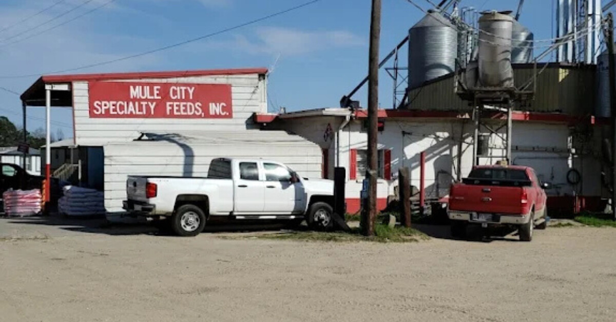 Images Mule City Specialty Feeds Inc.