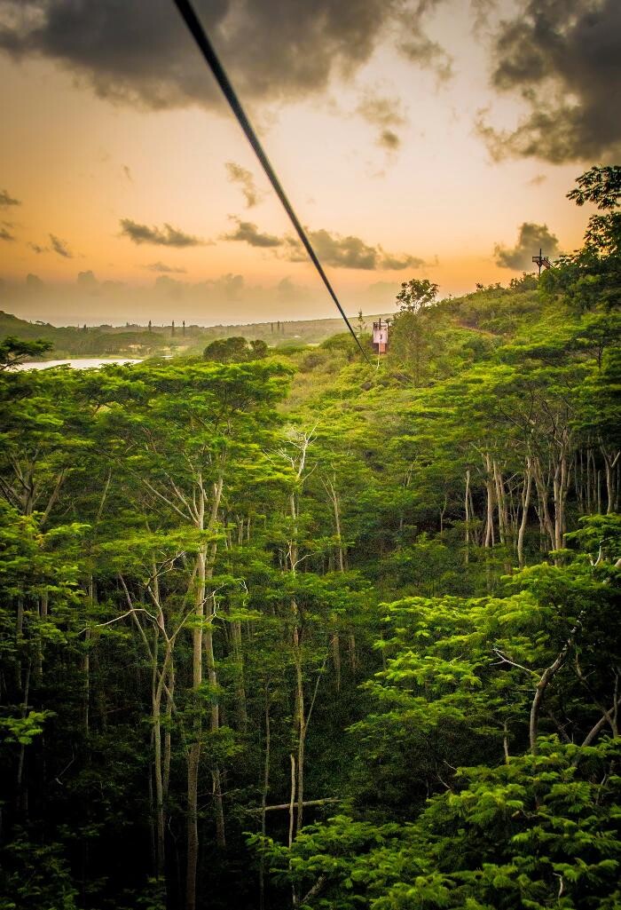 Images Koloa Zipline