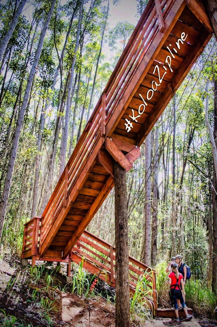 Images Koloa Zipline