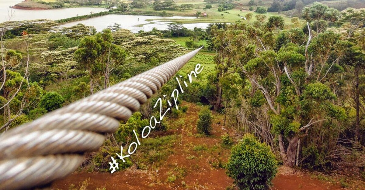 Images Koloa Zipline