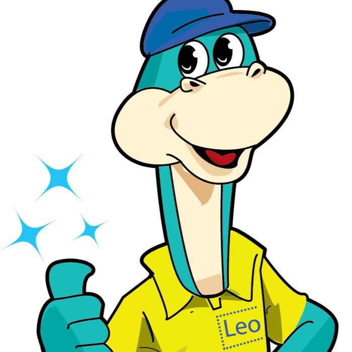 LEO Exterior Cleaning Logo