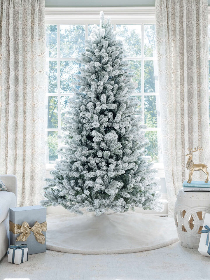 Images Amp Christmas Tree Farm