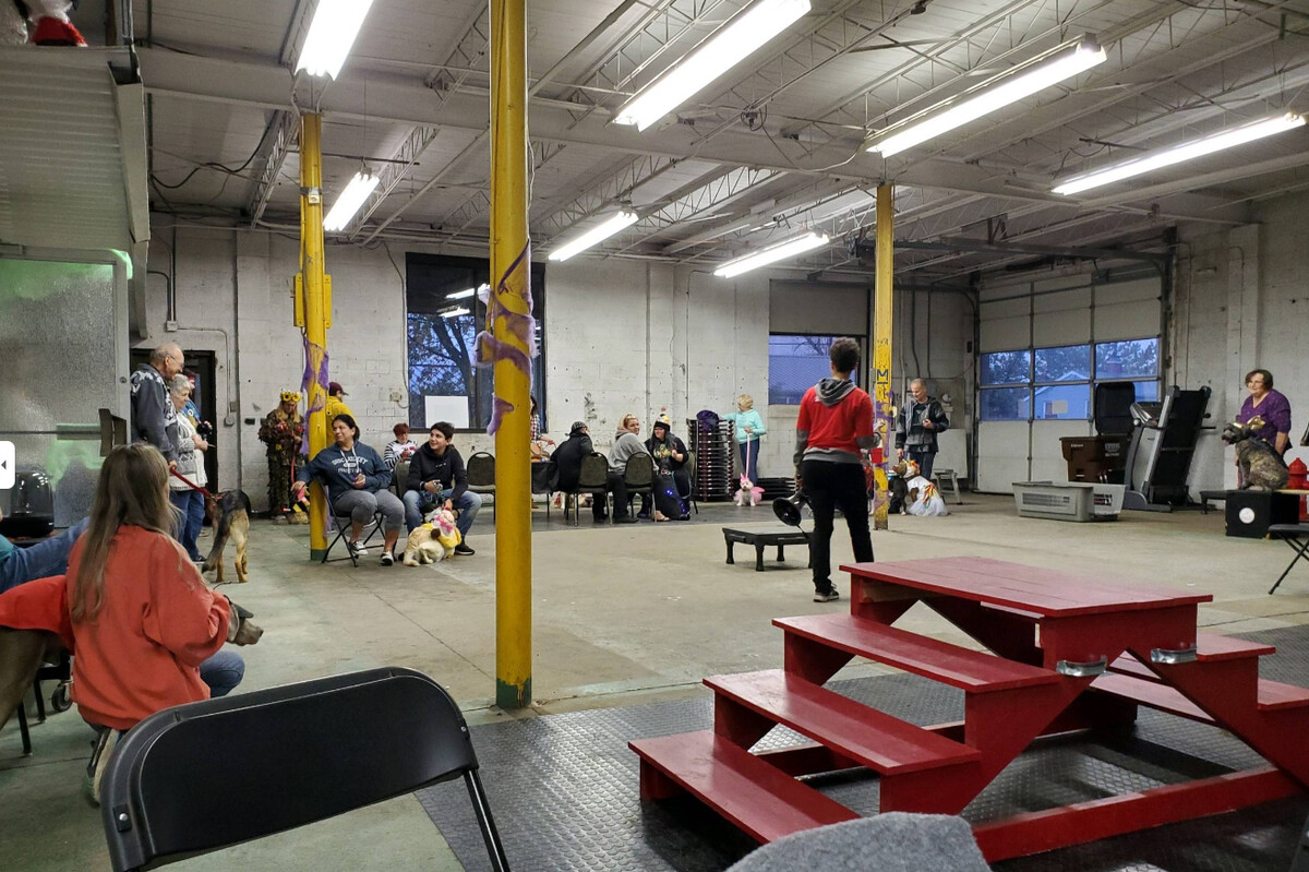 Images Sit Means Sit Dog Training