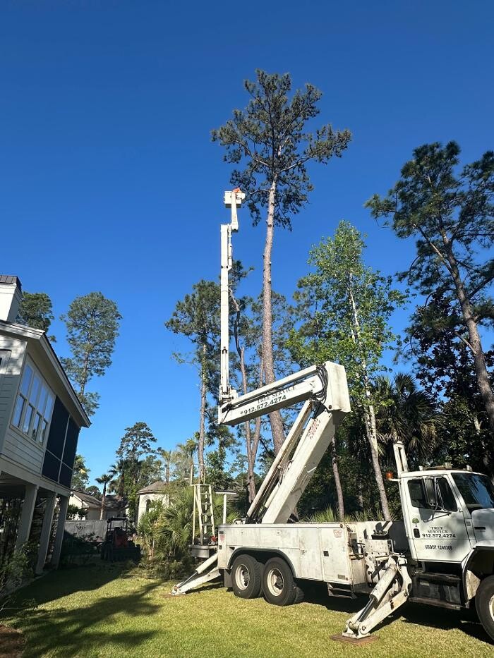 Images Summit Tree & Land Solutions, LLC