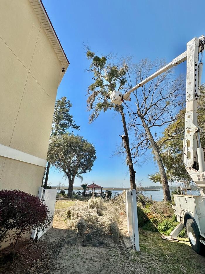 Images Summit Tree & Land Solutions, LLC