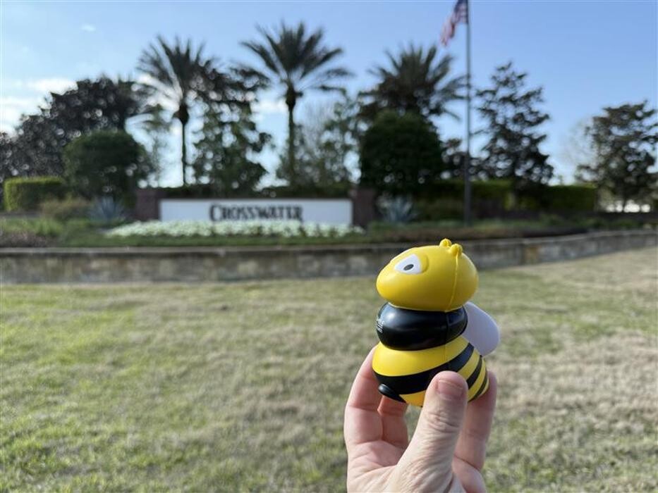 Images Bumble Bee Blinds of Ponte Vedra Beach FL