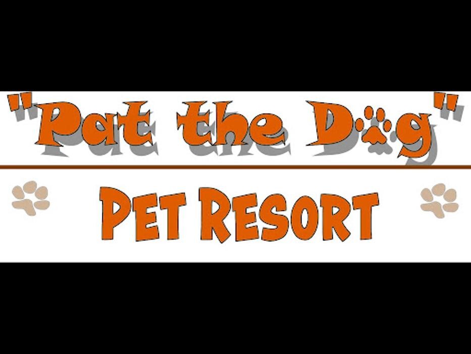 Images Pat the Dog Pet Resort