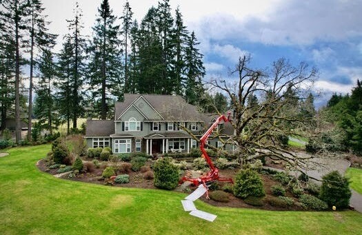 Images Mr. Tree Inc. Landscape Supplies