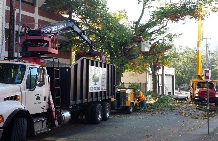Images Mr. Tree Inc. Landscape Supplies
