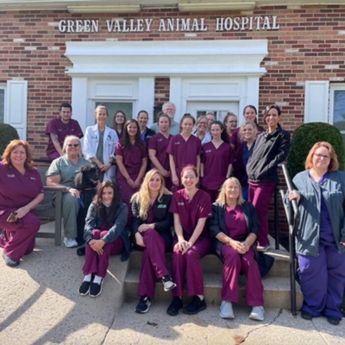 Images Green Valley Animal Hospital - Maryland