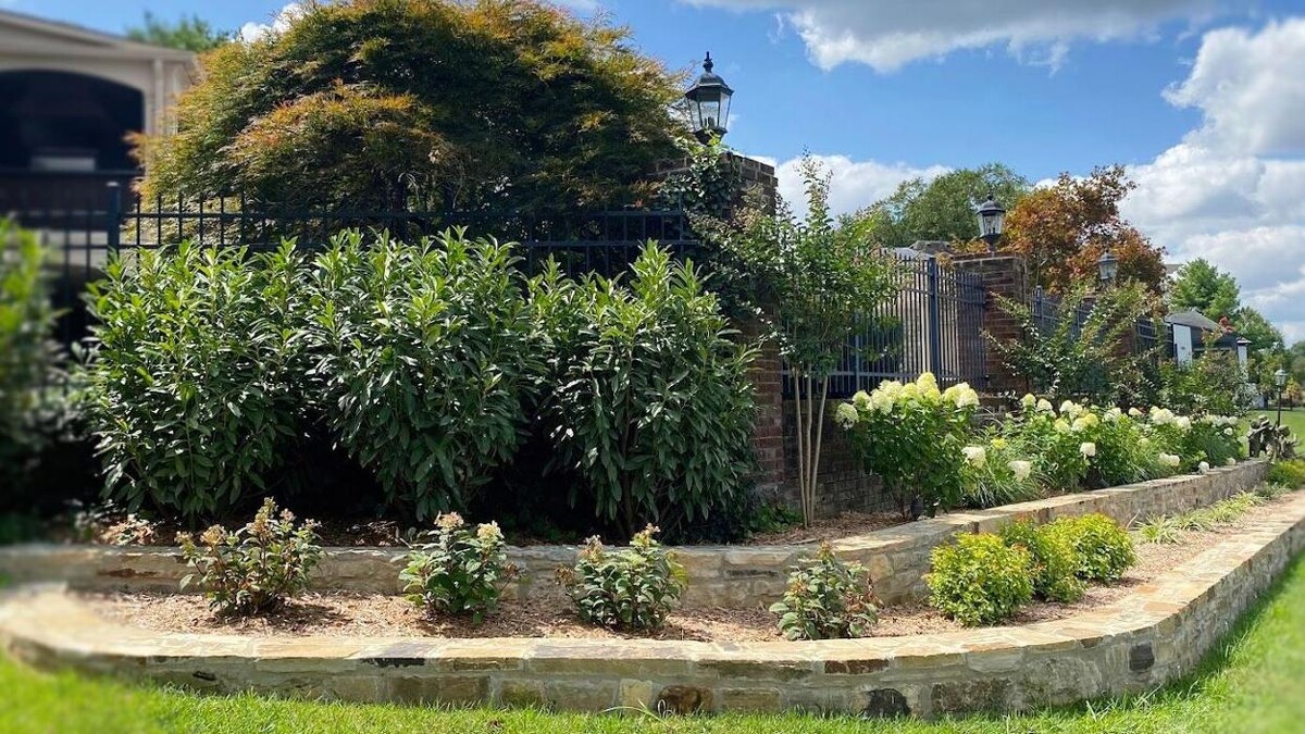 Images Bluegrass Gardening