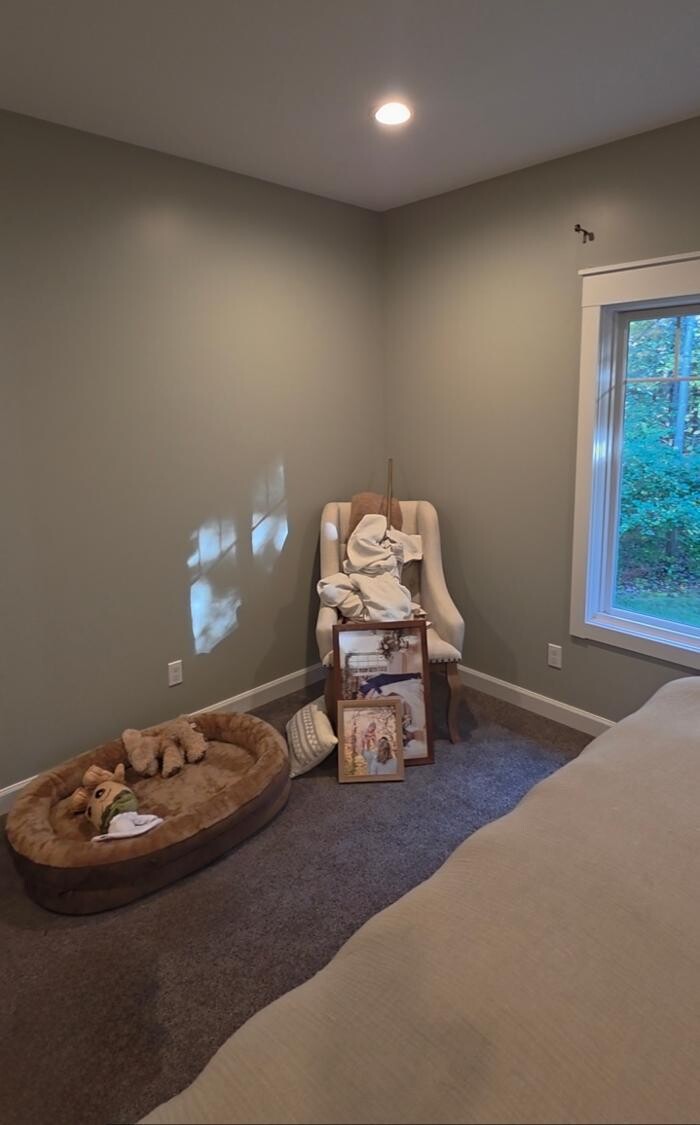 Images Guest Painting, Inc.