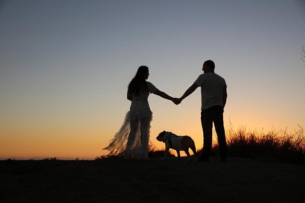 Images Carol Larsen Photography