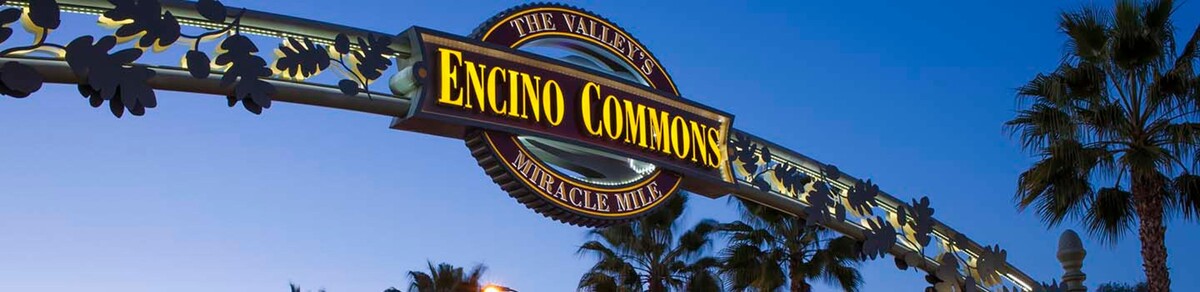 Images BodyLogicMD of Encino