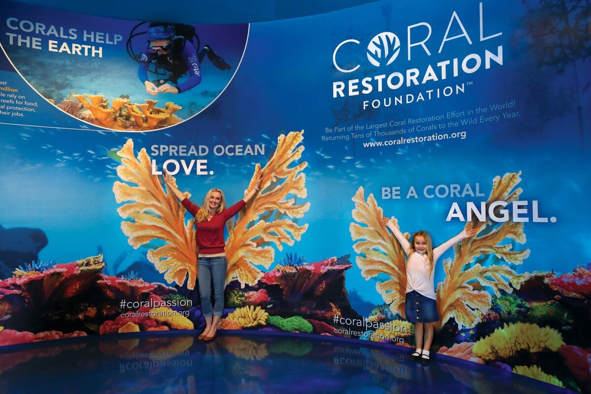 Images Aquarium at the Boardwalk