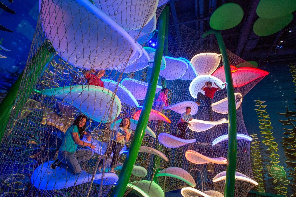 Images Aquarium at the Boardwalk