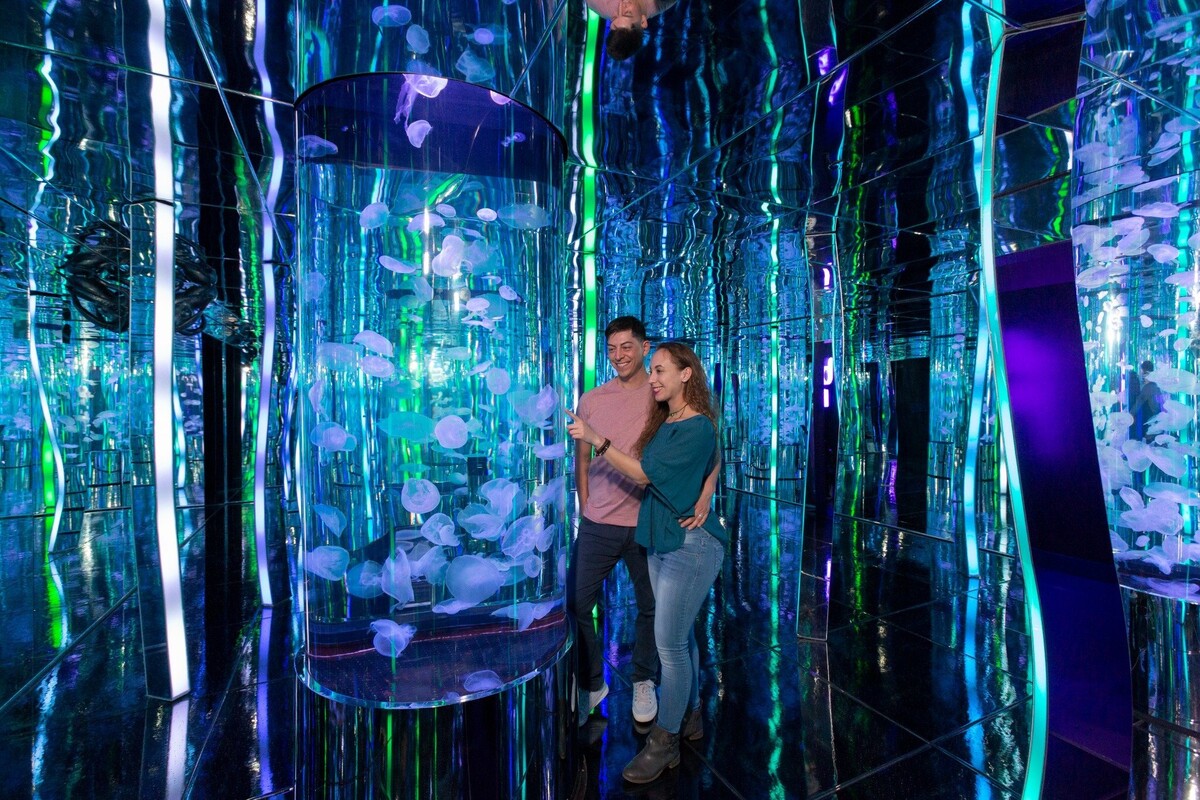 Images Aquarium at the Boardwalk