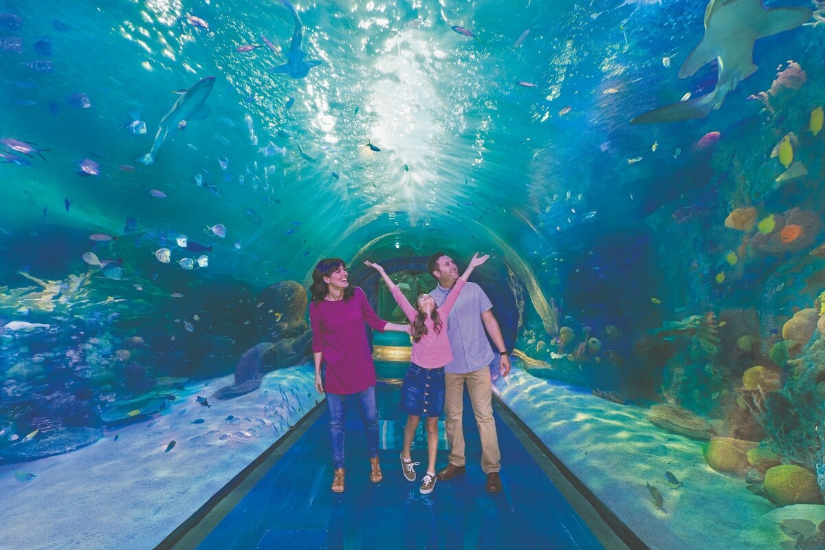 Images Aquarium at the Boardwalk