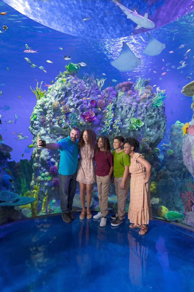 Images Aquarium at the Boardwalk