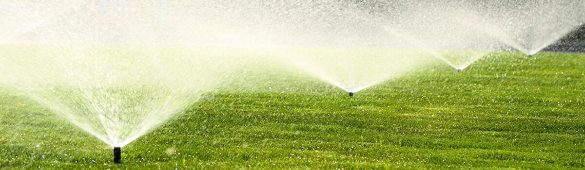 Images Turf Unlimited Inc