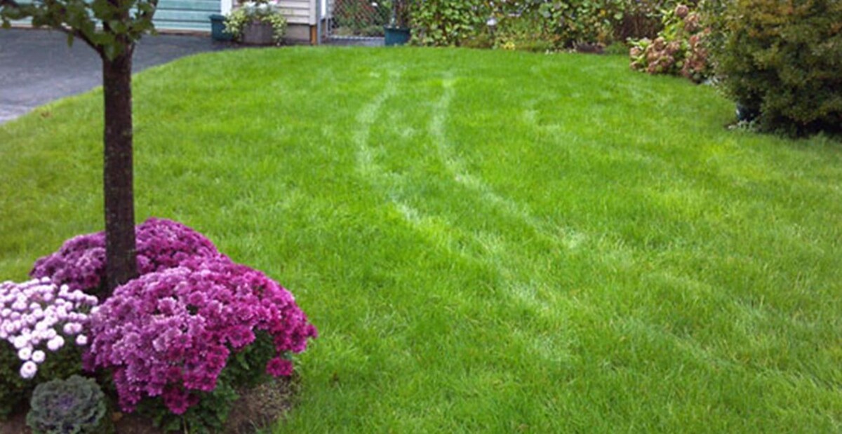 Images Turf Unlimited Inc