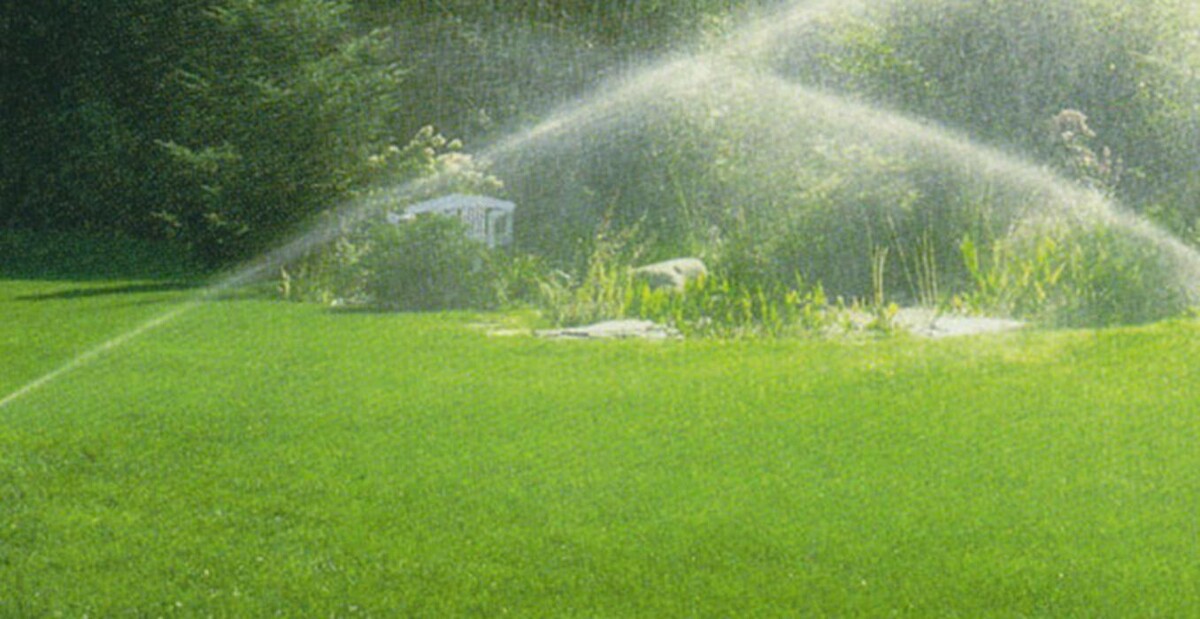 Images Turf Unlimited Inc