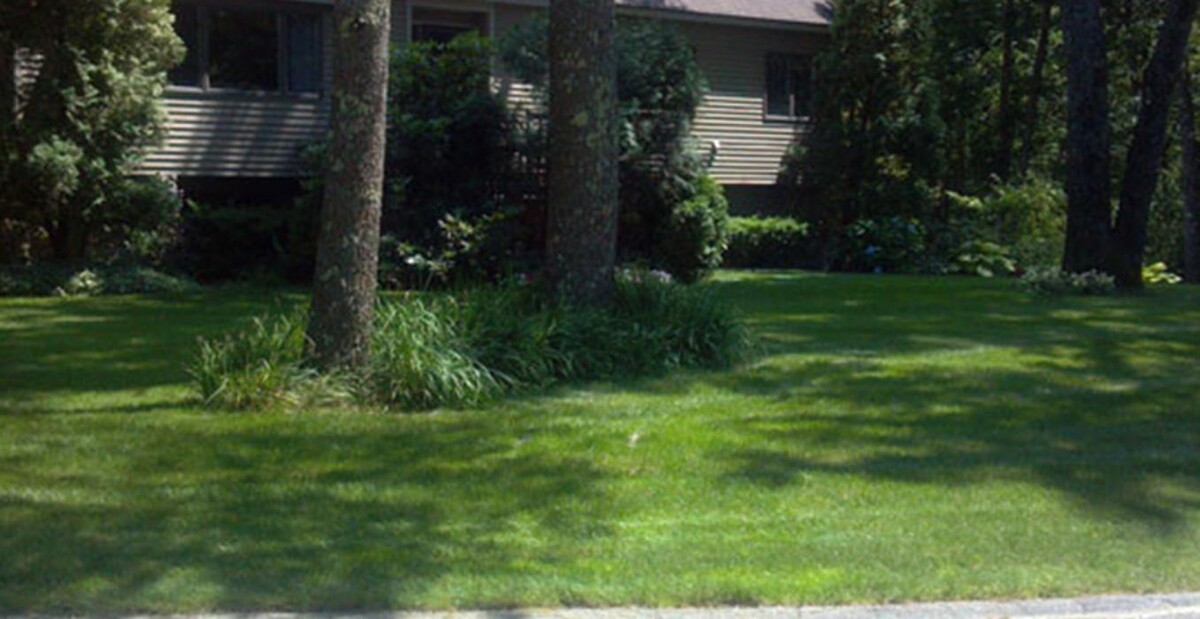 Images Turf Unlimited Inc