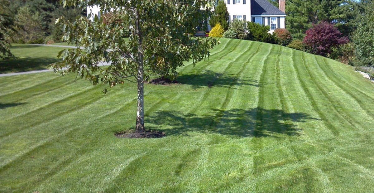 Images Turf Unlimited Inc