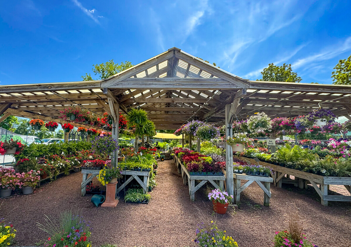 Images Matlack Florist