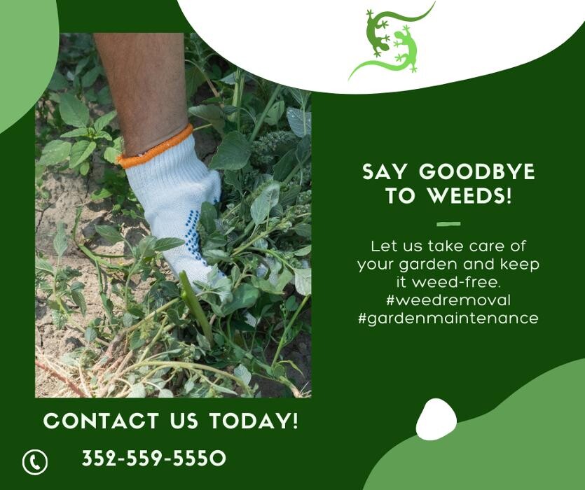 Images Lizard Landscaping & Sprinklers