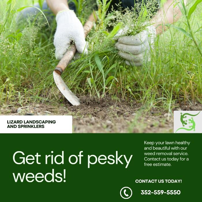 Images Lizard Landscaping & Sprinklers