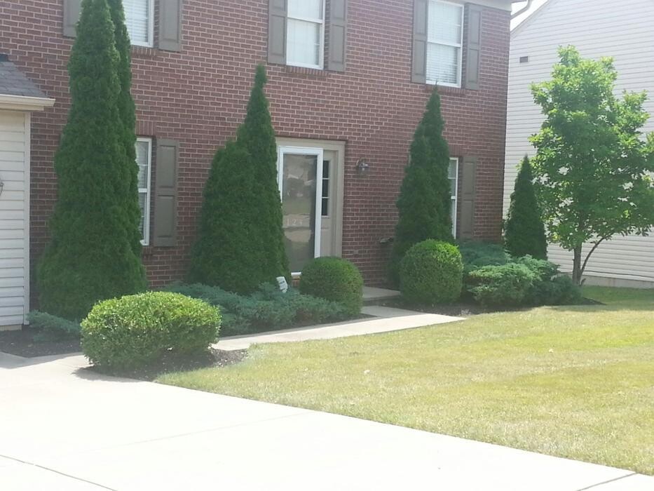 Images Compton Lawn Care