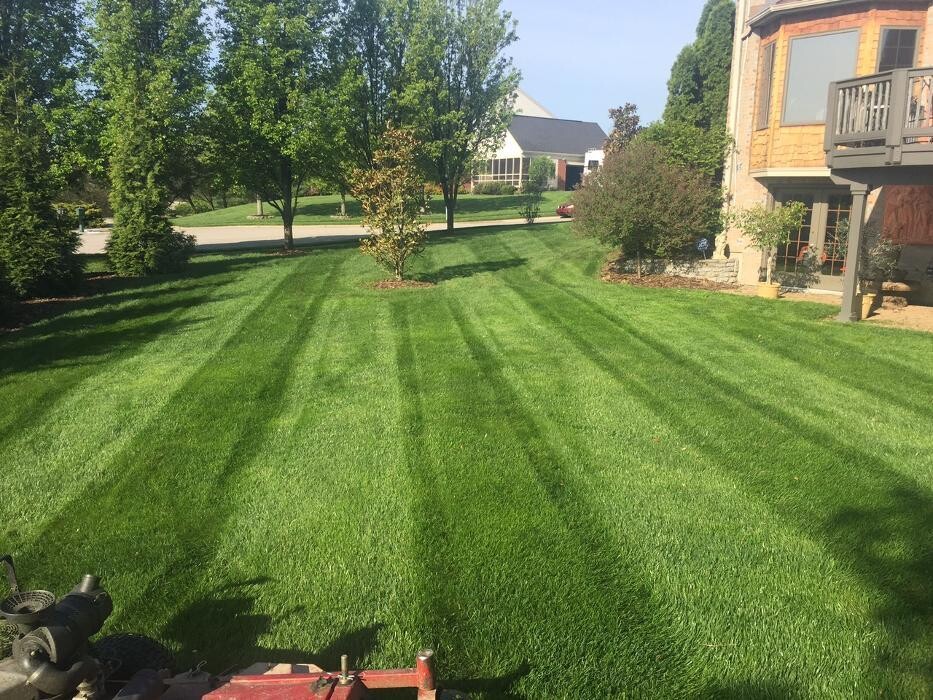 Images Compton Lawn Care