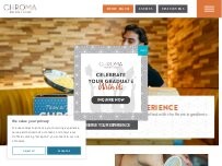 Website Screenshot Chroma Modern Bar + Kitchen