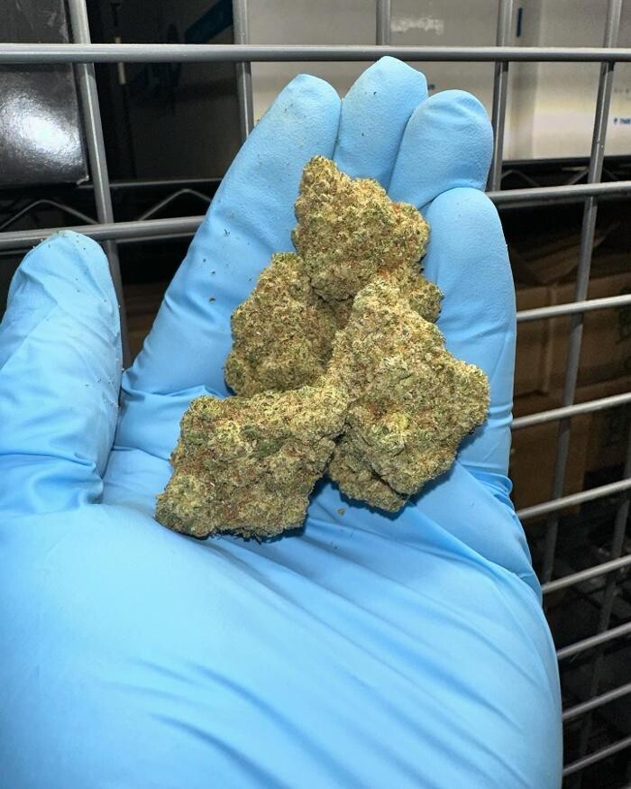 Images Deeply Rooted Boutique Cannabis Company