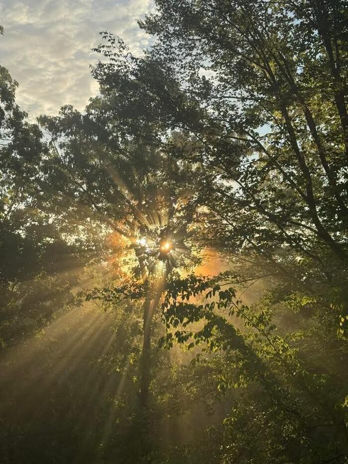 Images The Willow Way Foundation, Inc.