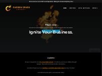 Website Screenshot Carbon Spark Agency