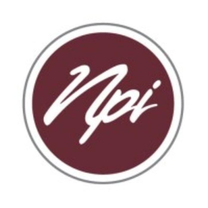 Network Providers, Inc. Logo