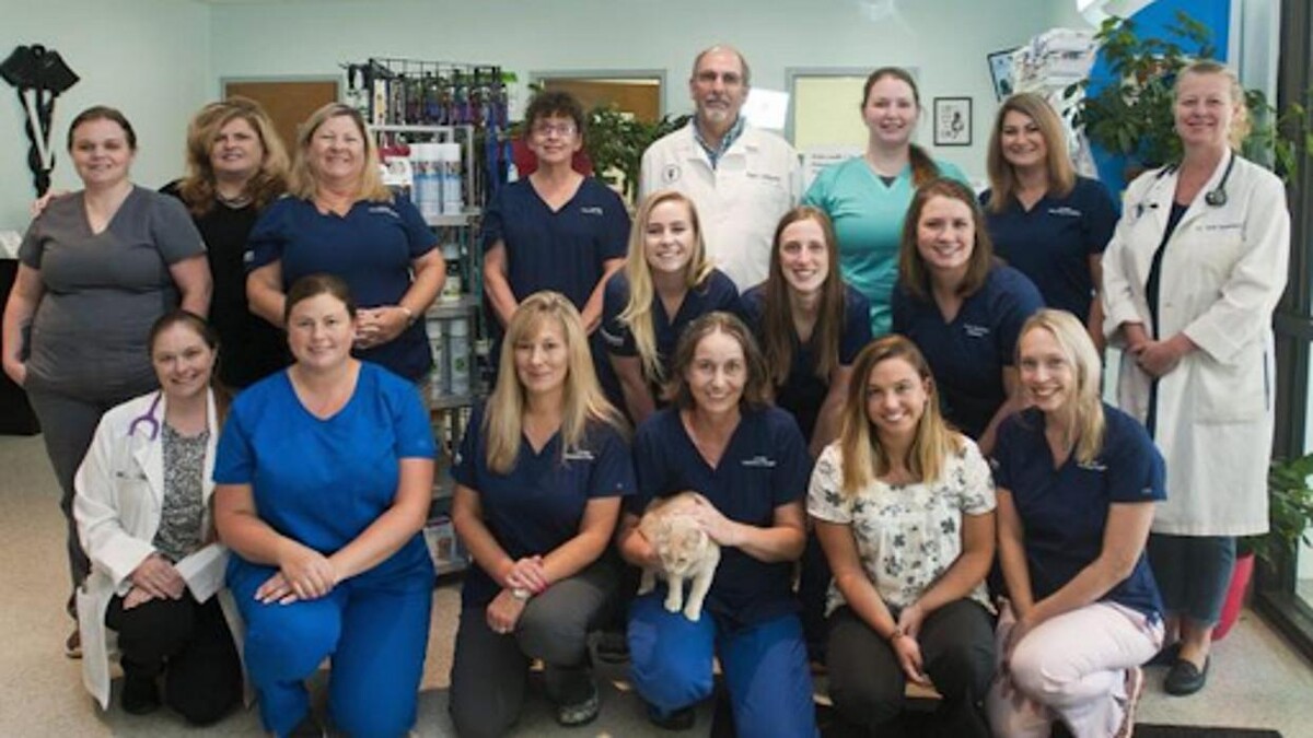 Images Lexington Veterinary Associates