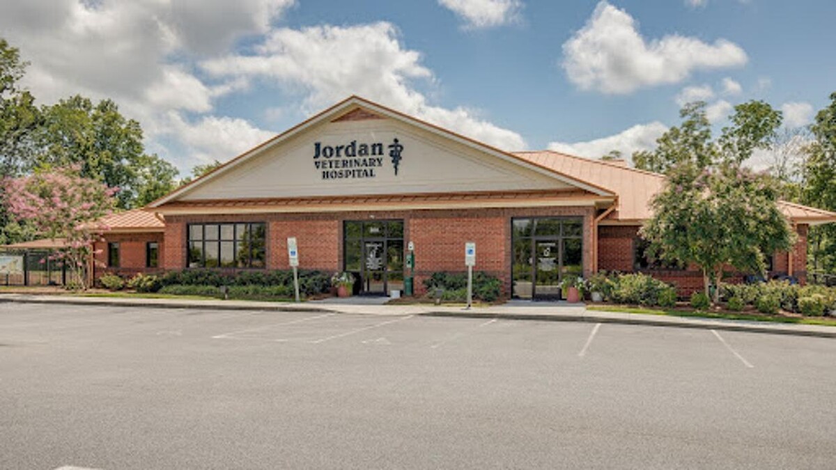 Images Lexington Veterinary Associates