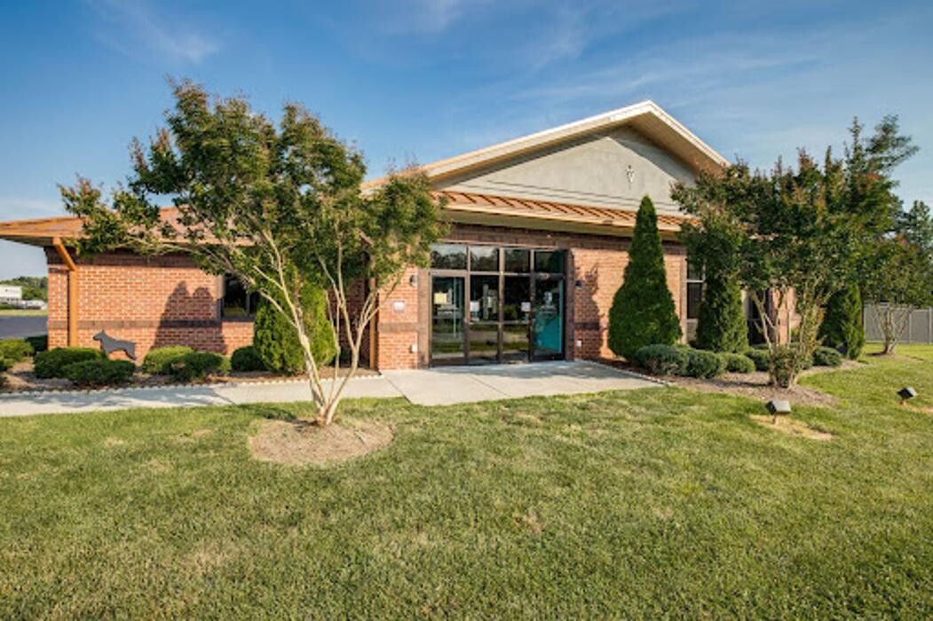 Images Lexington Veterinary Associates